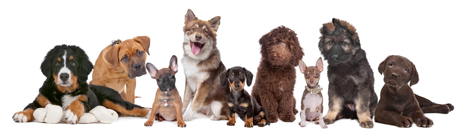 Fotolia 38827423 m