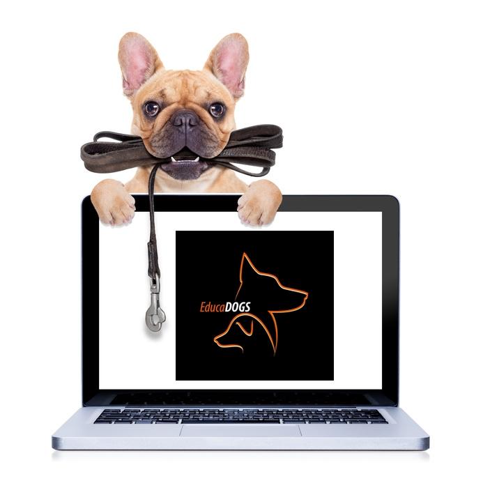 Fotolia 78444677 s
