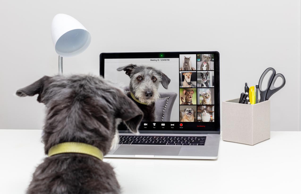Istock 1284988607
