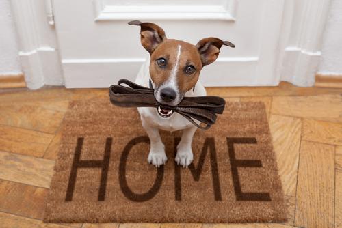 Shutterstock 609057113